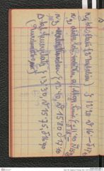 Seite 100, Tagebuch "Photogr. Aufn. 1919" (NHMW-PRAE-BBB-11)